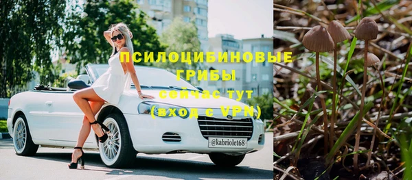 2c-b Михайловка
