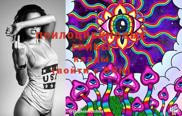 2c-b Михайловка