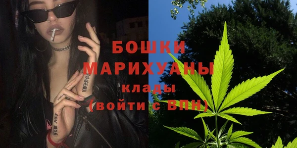 мдпв Михайлов