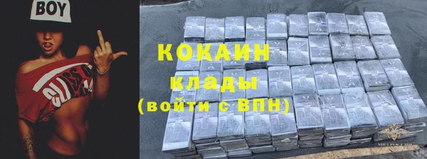 мдпв Михайлов